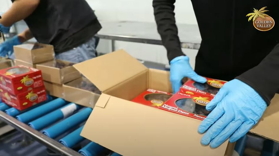 Load video: Palestinian Medjool Dates
